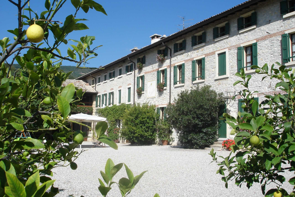 Monica Arpesani Rustico Valpolicella "CA' PITTI"